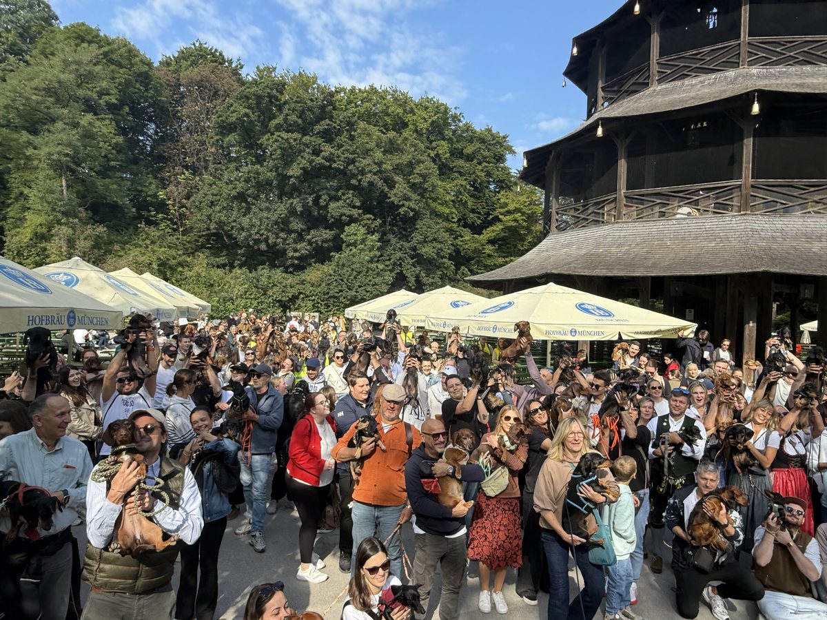 Dackel und ihre Menschen beim Dackel-Spaziergang WienerWalk München