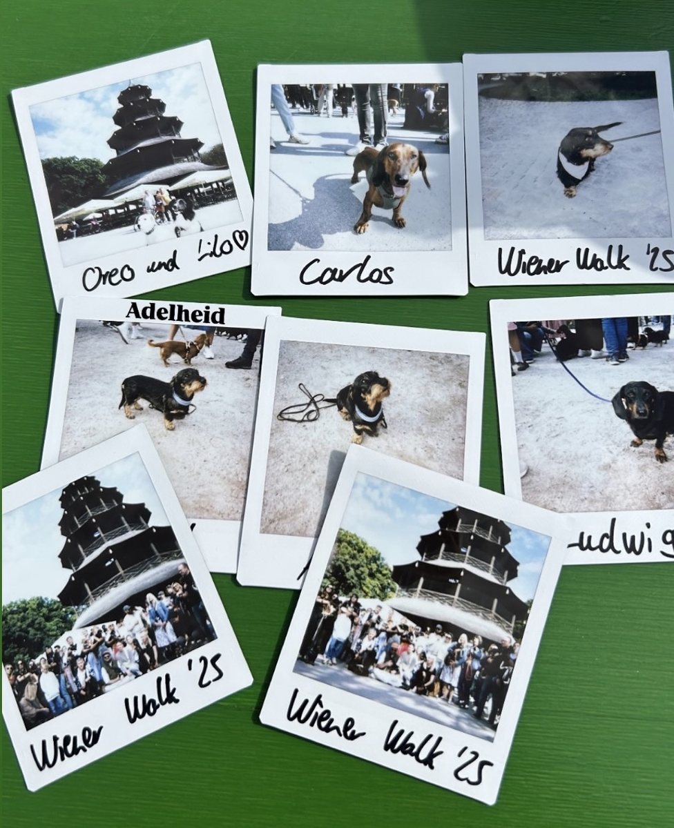 Polaroid-Fotos vom Dackeltreffen WienerWalk München 2025