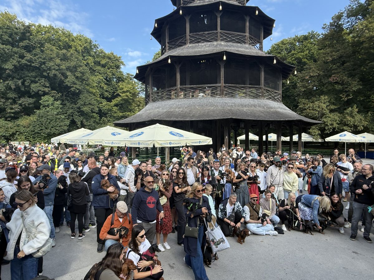 Große Dackel-Community beim WienerWalk München am Chinesischen Turm