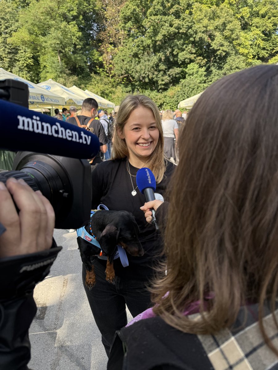 münchen.tv berichtet vom Dackeltreffen WienerWalk München