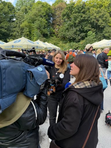 Dackel beim WienerWalk im Englischen Garten vor dem Chinesischen Turm